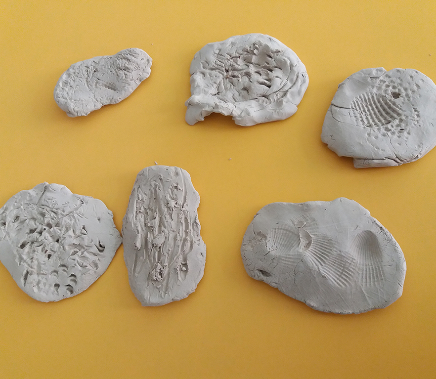 HH1: Buztinaren formak