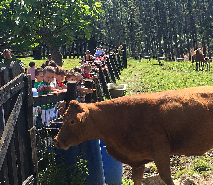 HH5: Mendatan, baserria ezagutzen