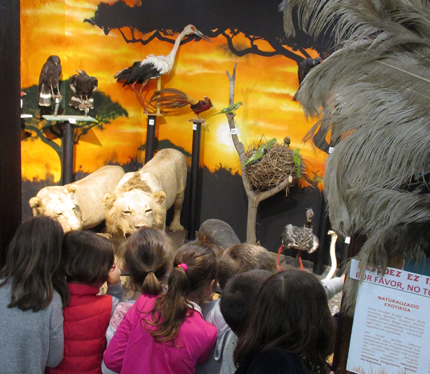 LH1: Hontza museoan, Mañarian.