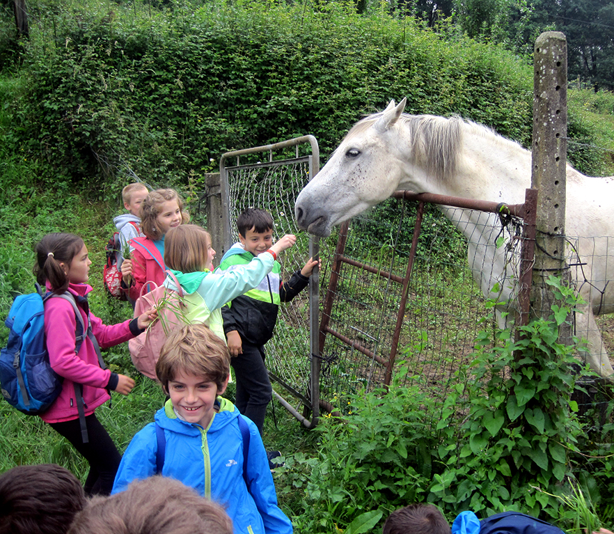 2º de EP: excursión a Bitaño e Izurtza