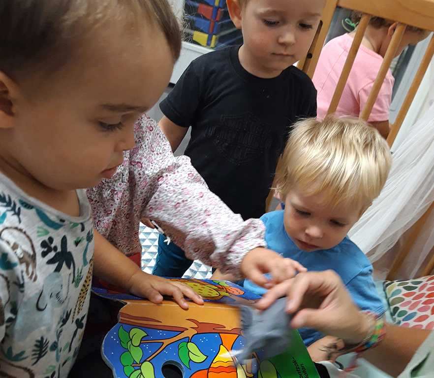 HH 1. zikloa: Etxekotzea