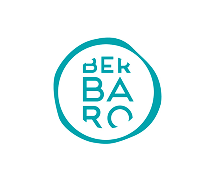 Berbaro elkartearen lan eskaintza