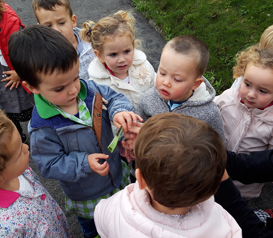 HH2: natura ikastolan