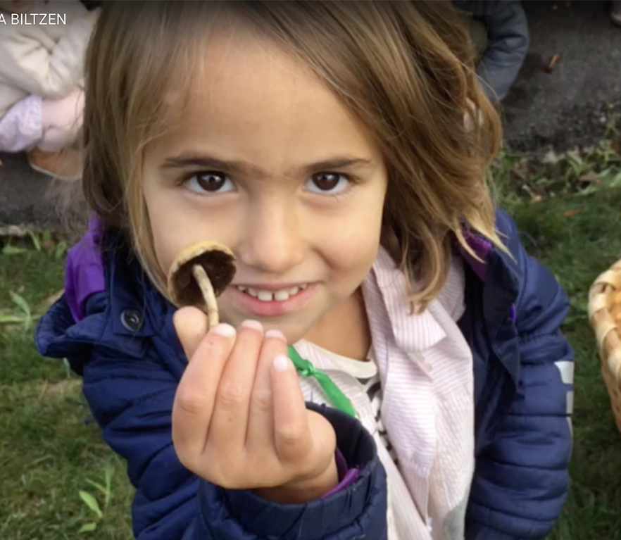 HH3: udazkena biltzen