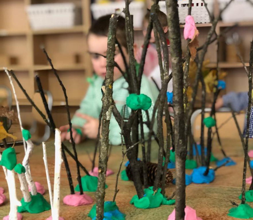 HH3: basoa eraiki dugu