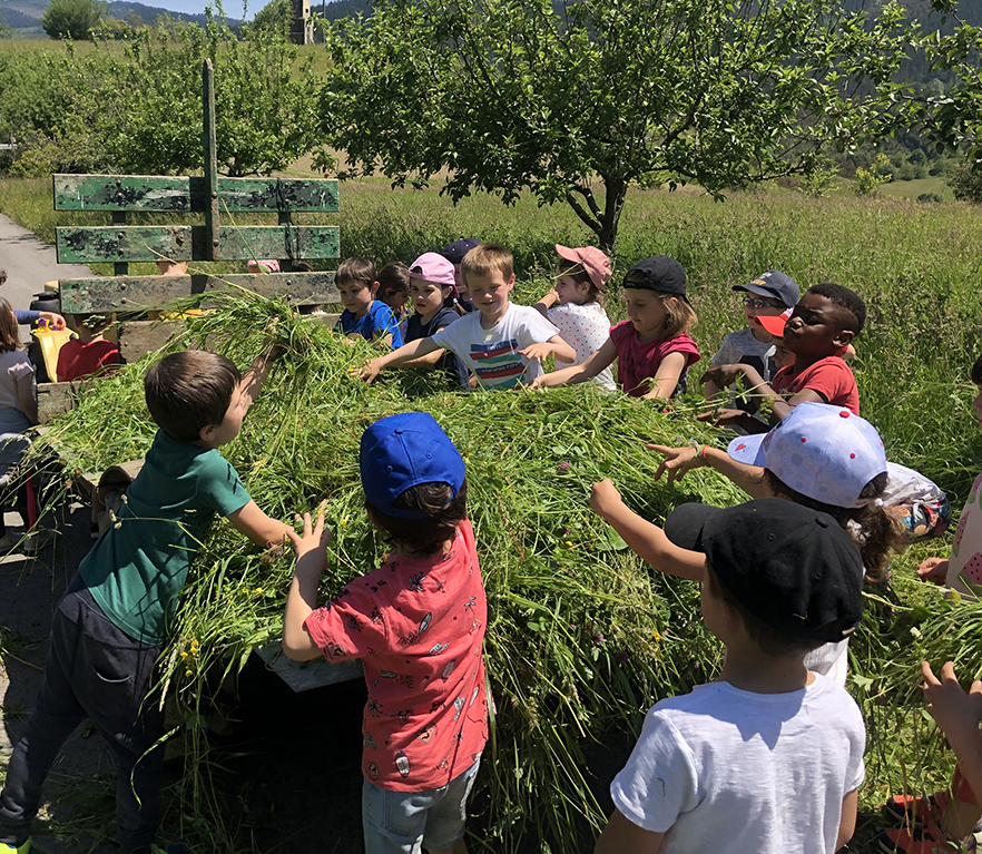 HH5: Mendatara irteera