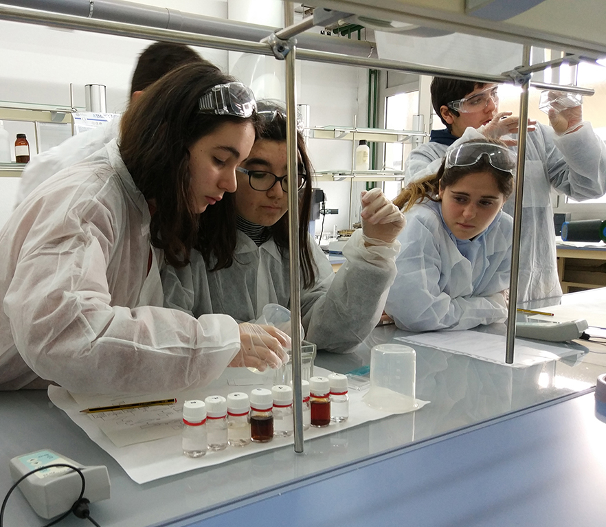 DBH4 fisika eta kimika: “Kimika bizirik” EHUn