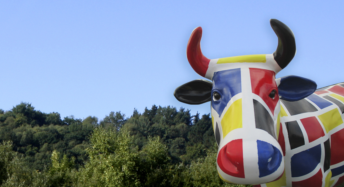 Ikastolako behia: “Bidali zuen argazkiak, mesedez. Muuuuxu handi bana!”