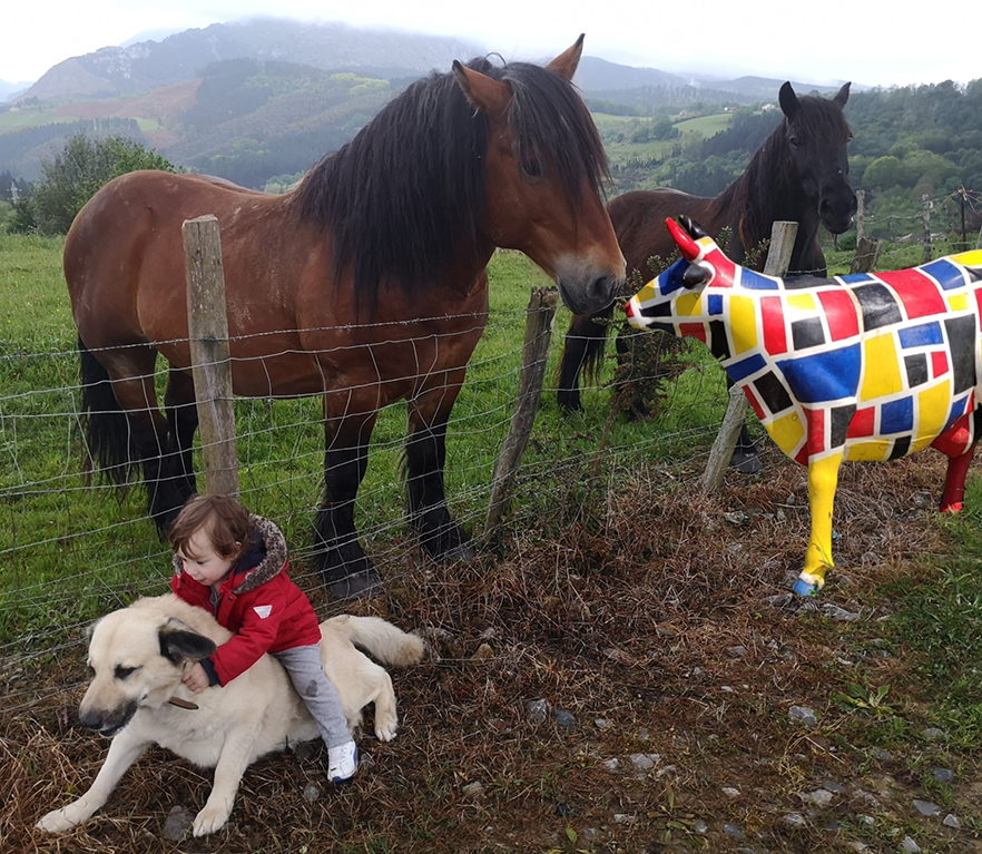 “Behia ez dago bakarrik”: hasi gara argazkiak jasotzen.