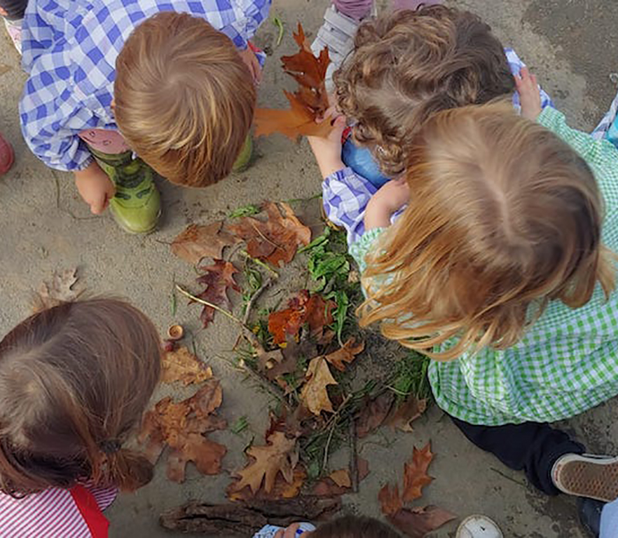 EI 3 años: disfrutando del otoño