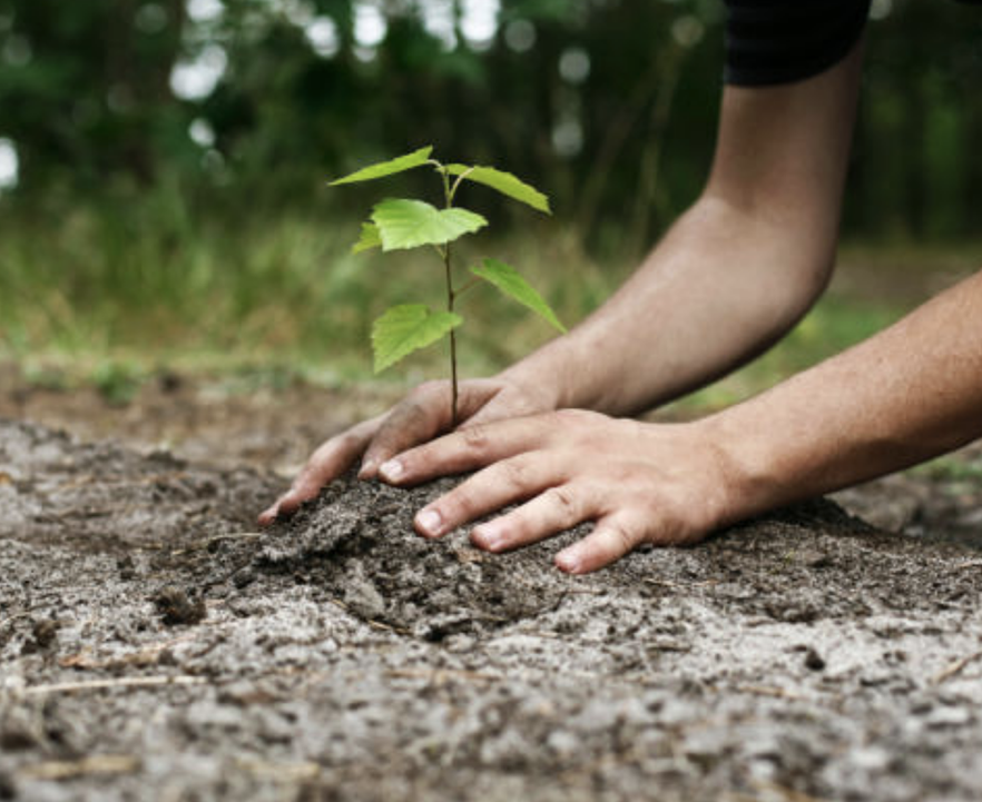 Guraso.eus: nola jolastu errespetuz naturako elementuekin