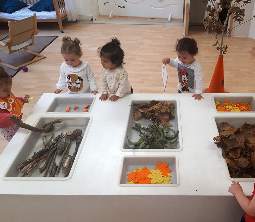 EI 1 año: el otoño y sus elementos