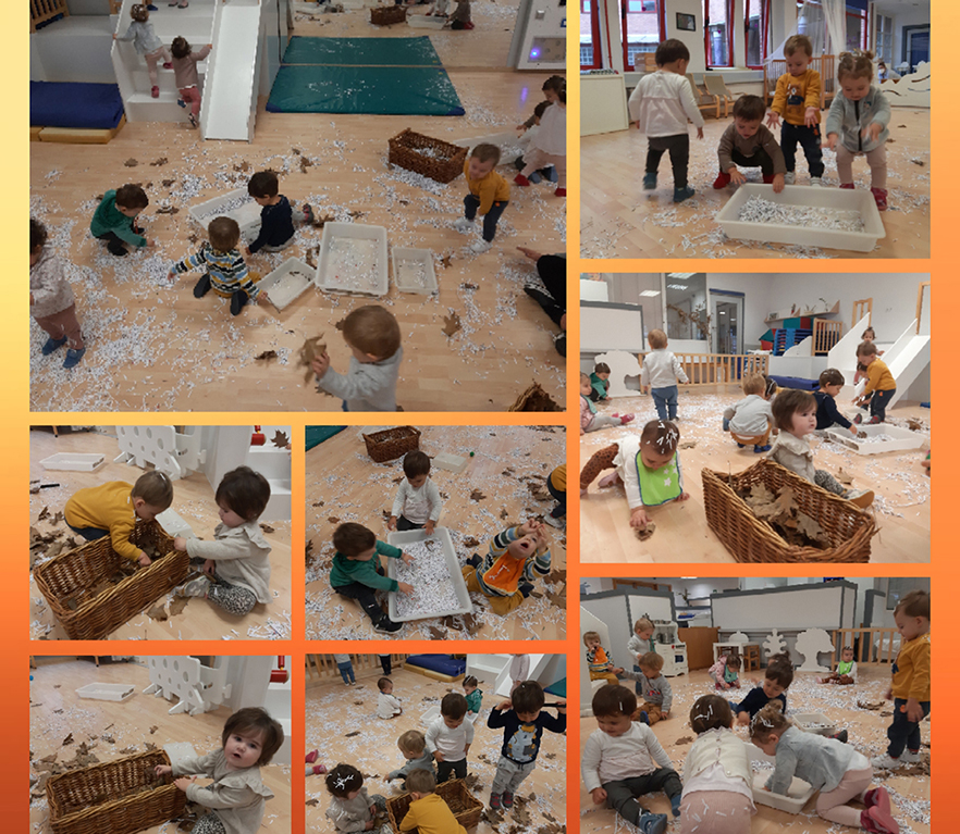 EI 1 año: papeles y hojarasca