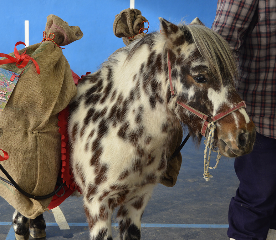 Llegada de Olentzero y Mari Domingi a la ikastola