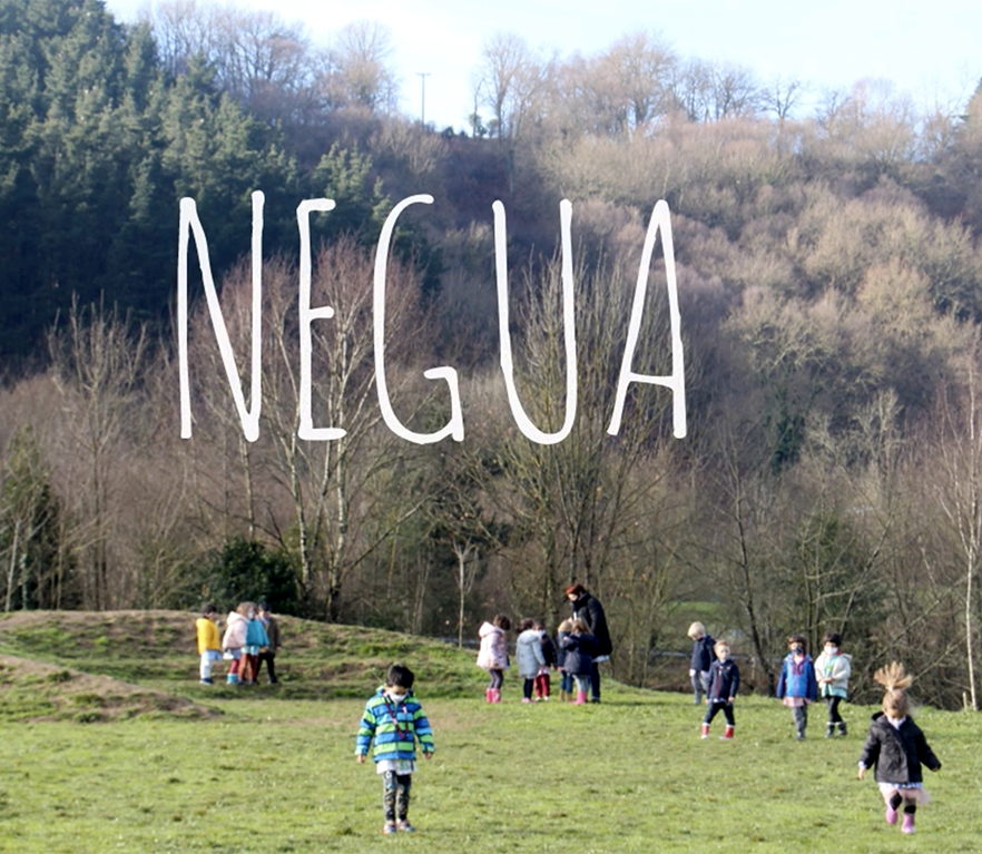 HH4: Negua