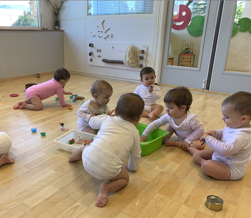 EI 0 años: animales congelados