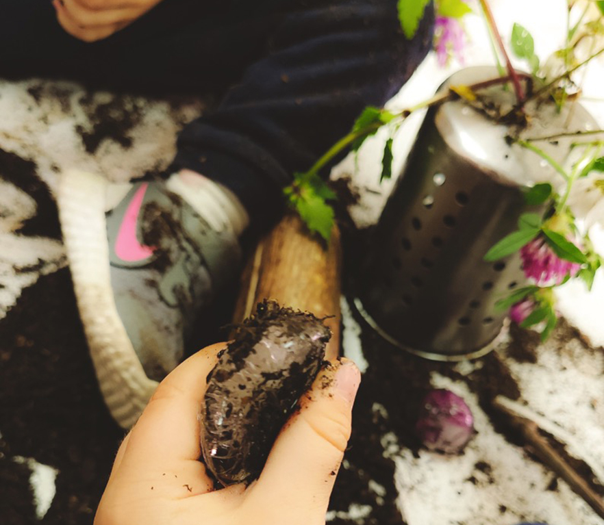 HH1: udaberriarekin esperimentatzen