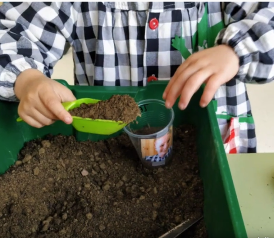 HH3: belarra ereiten