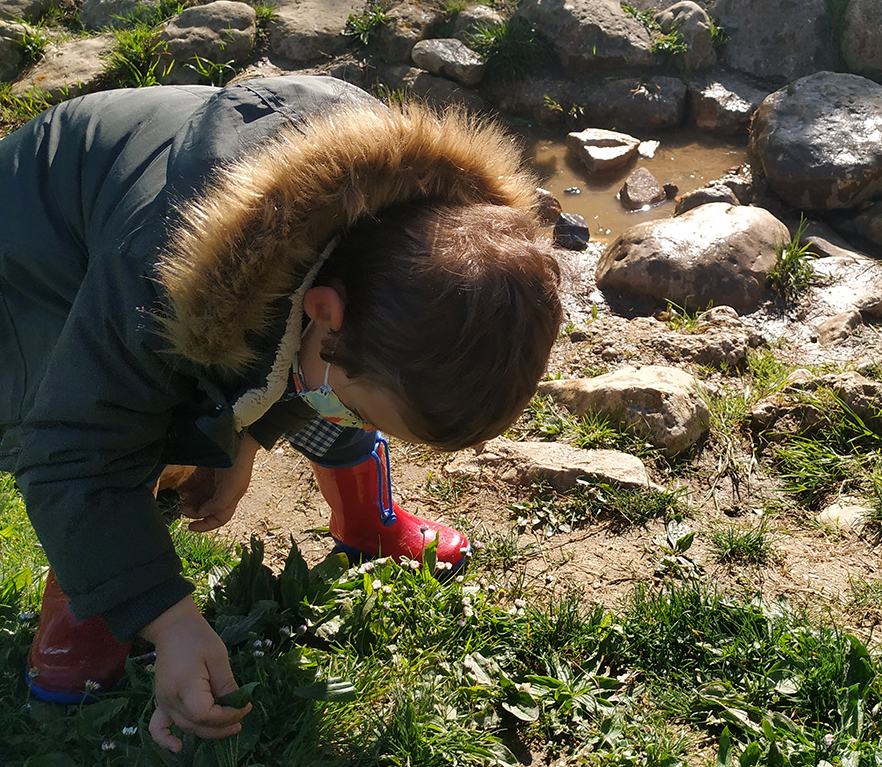 HH3: udaberriaz gozatzen