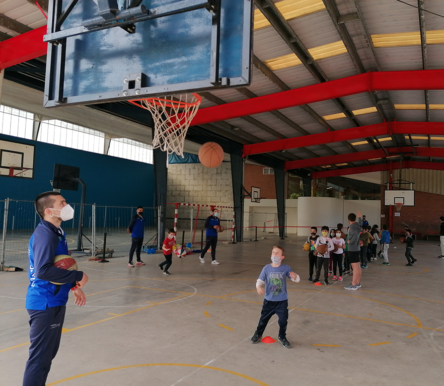 Multikirolak LH3: saskibaloia