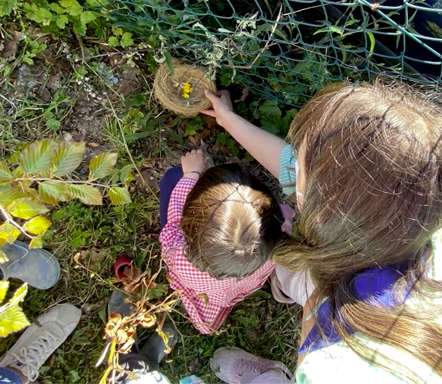 EI 4 años: los animales y sus crías