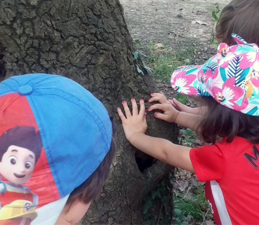 EI 2 años: de excursión