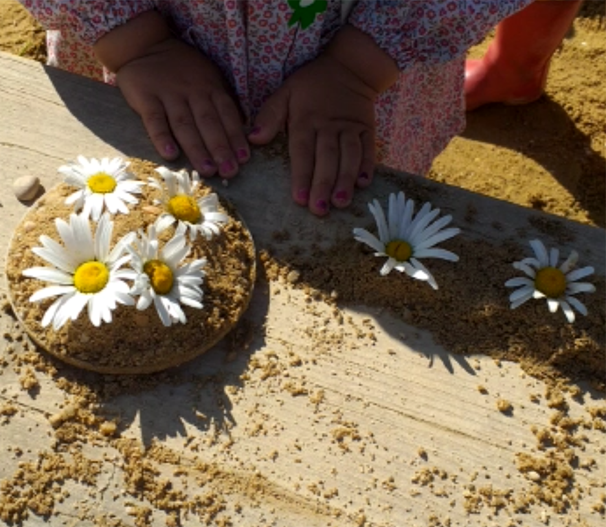 EI 2 años: investigando en el espacio de recreo