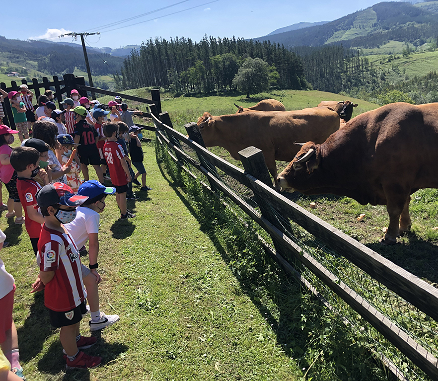 EI 5 años: excursión a Mendata