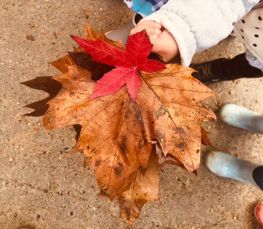 El 3 años: Entre el barro y las hojas caídas