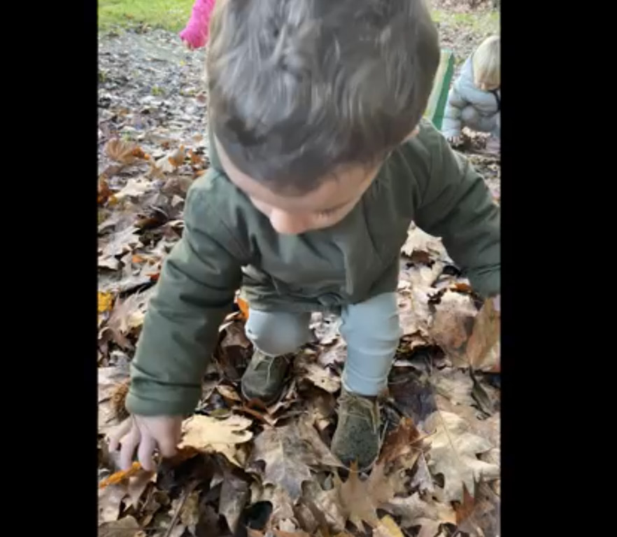 [VÍDEO] El 1 año: jugando con el marrón del otoño