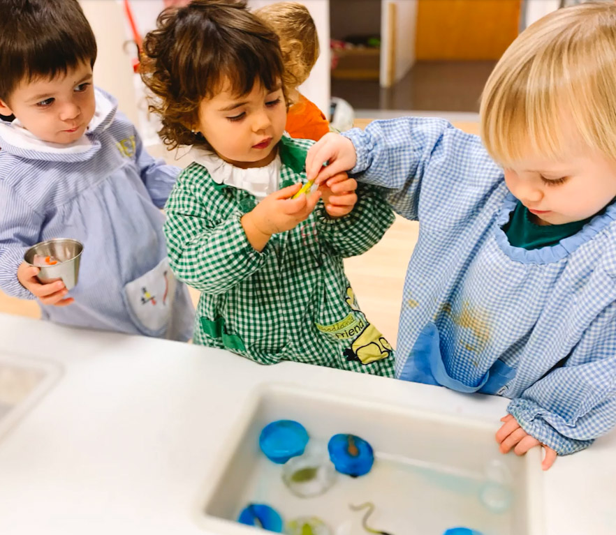 El 1 año: Cambios de temperatura