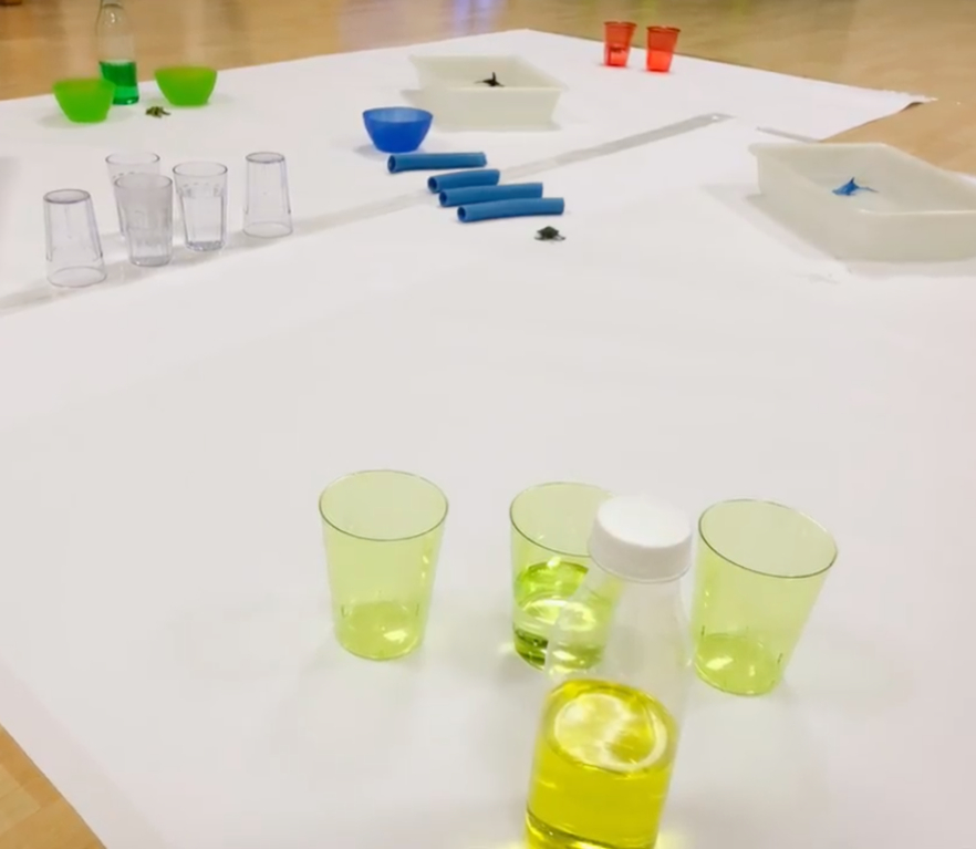 El 1 año: Jugando con el agua