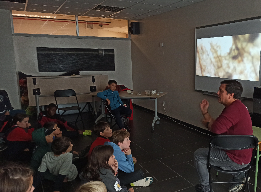 4º de EP: conociendo el mundo de los seres vivos microscópicos
