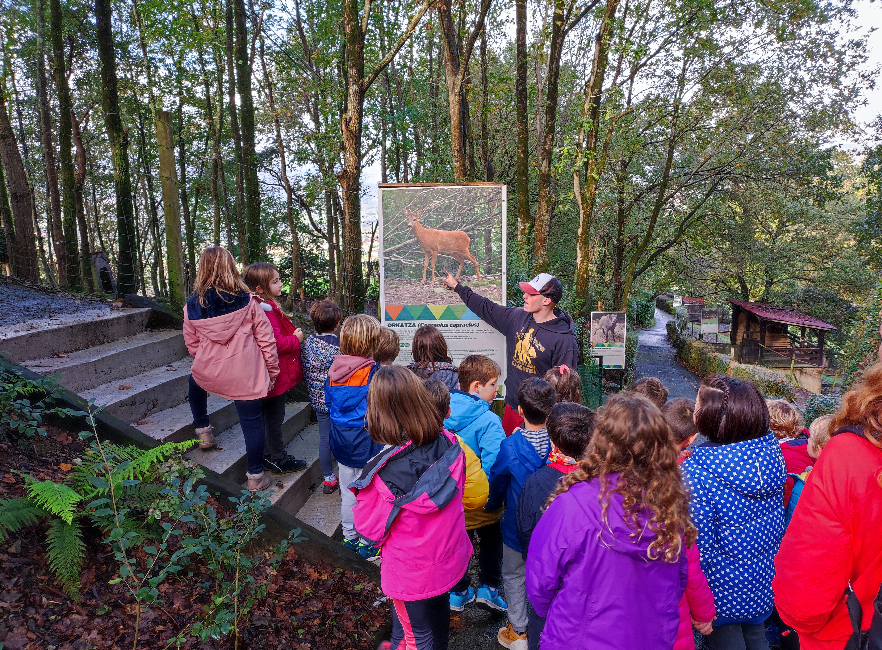 2º de EP: Excursión a Basondo