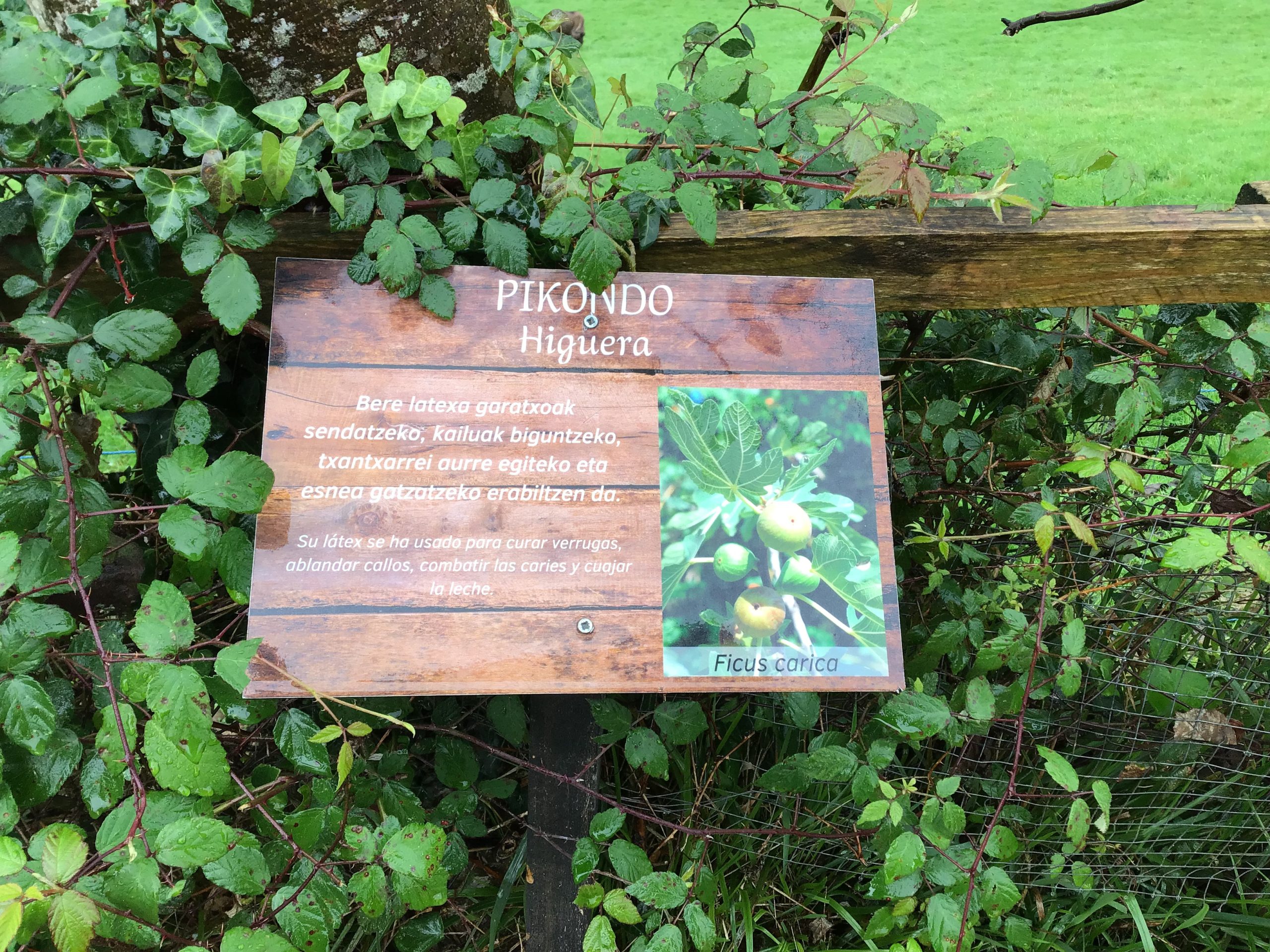 LH2: Basondora irteera, animalia espezie berriak ezagutzera