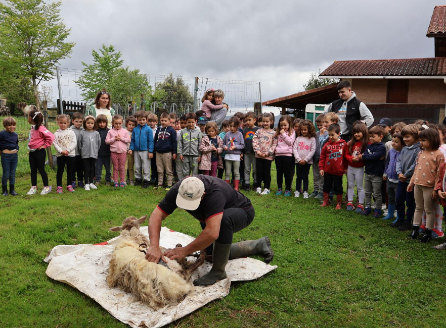 [GALERÍA DE FOTOS]: Excursión a Mendata