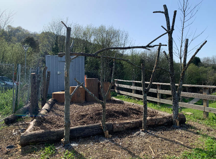 [VÍDEO] Nuevo espacio de psicomoticidad en un entorno natural