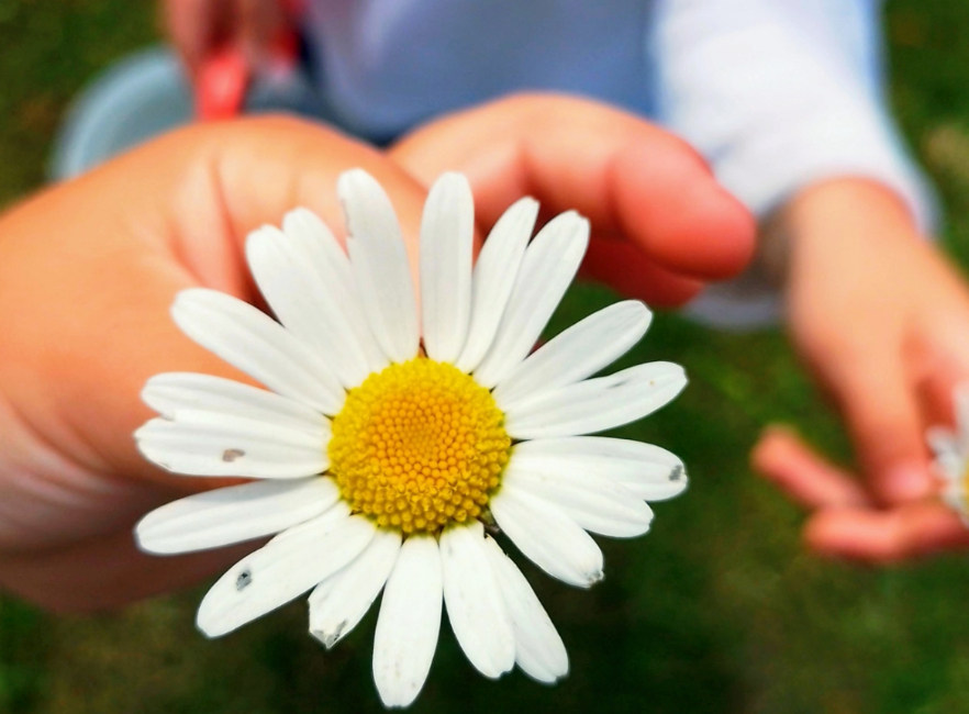 [BIDEOA] HH4 udaberria lantzen