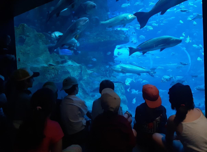 [ARGAZKI GALERIA] LH2: Aquariumera irteera