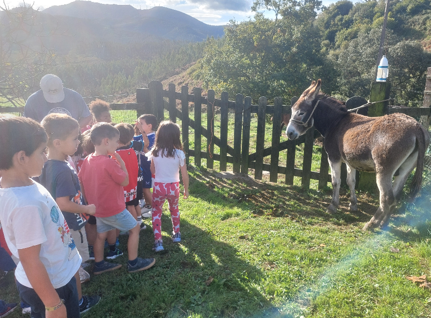 [ARGAZKI GALERIA] HH5: Mendatara irteera