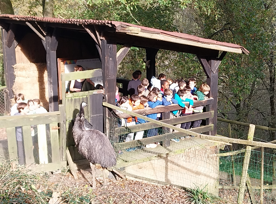 [ARGAZKI GALERIA] LH2: Basondora irteera